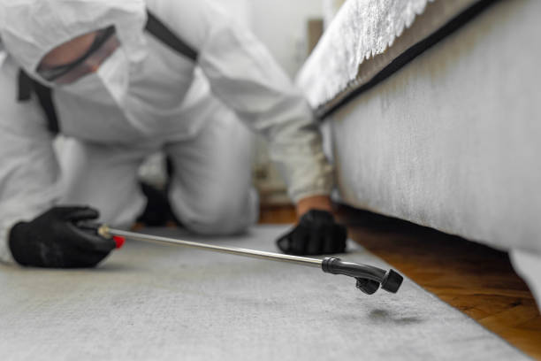 Professional Pest Control technician working in Pendleton County County, KY